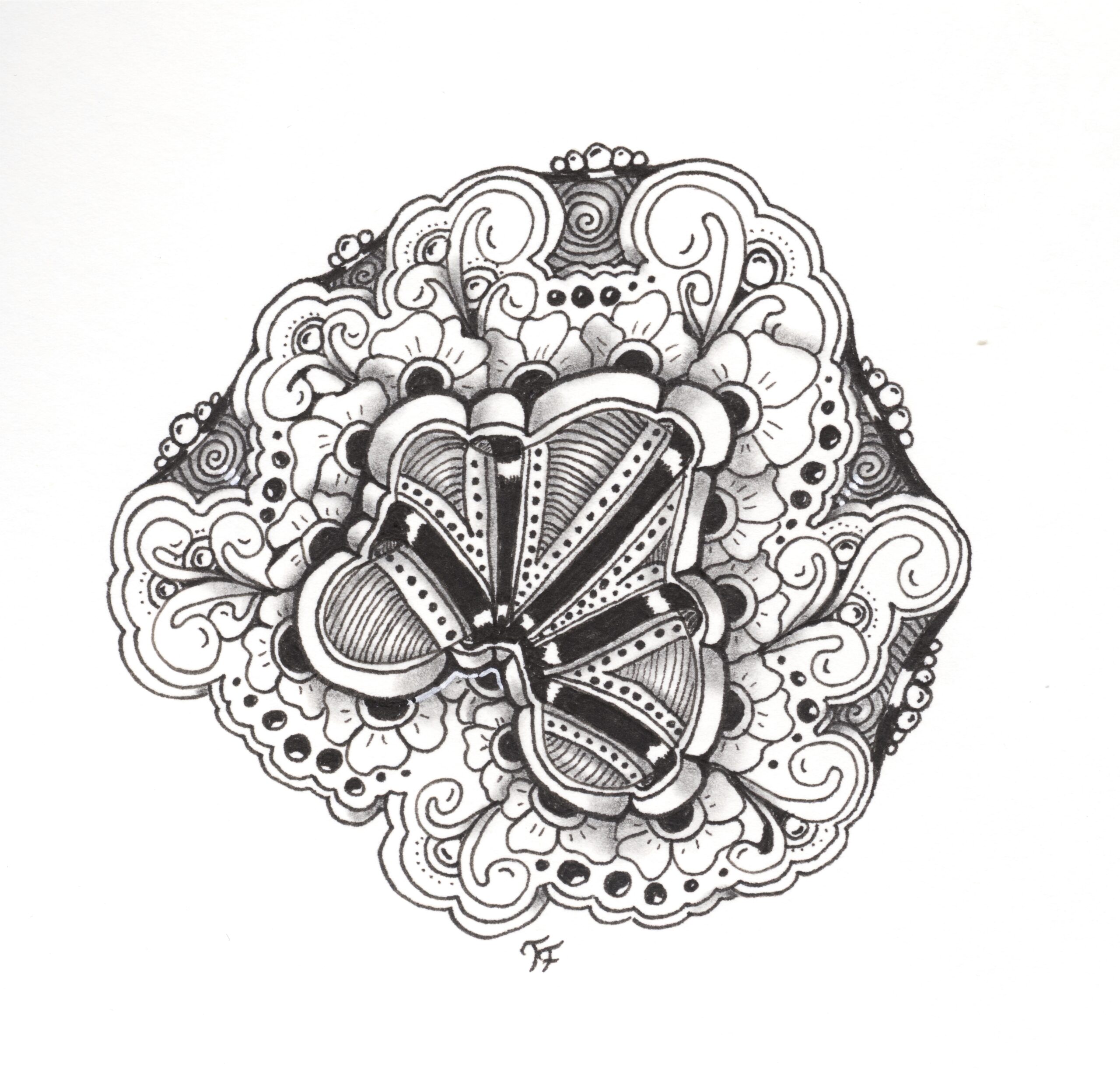 VHS Kurse für 1 / 2025